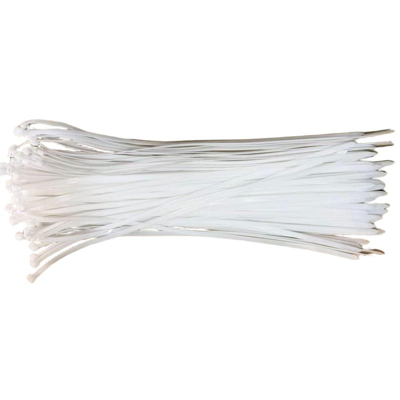 莘煊 绑扎带 600mm*10mm 100条/包