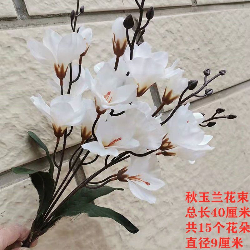 秋玉兰花束白色大玉兰花仿真花家居花瓶插花装饰花单支花束假花绢花高档落地摆件报价 参数 图片 视频 怎么样 问答 苏宁易购