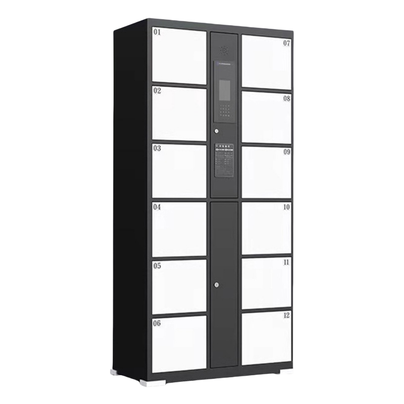 智叶舟智能储物柜人脸识别12门850*460*1800mm台高清大图