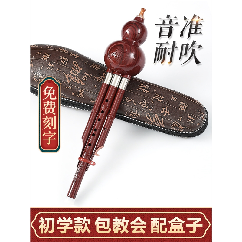 民族葫芦丝乐器初学者儿童C调降B调小学生专业演奏型胡芦丝成人
