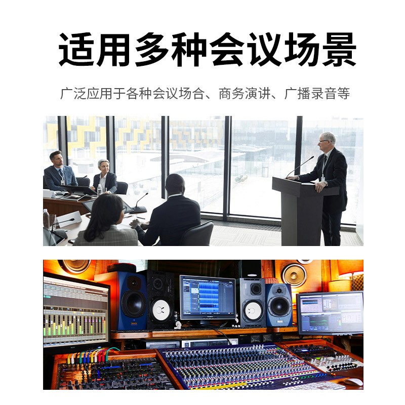 润普Runpu 会议音频扩声系统 专业有线电容麦克风会议话筒 会议演讲主持鹅颈麦RP-S-DYX518高清大图