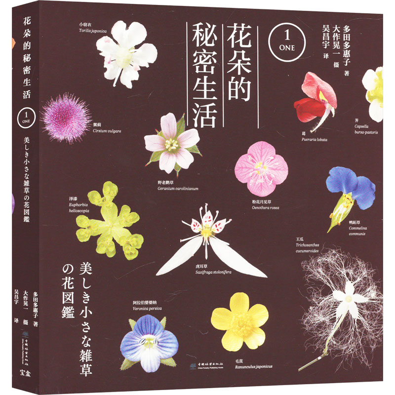 [M]花朵的秘密生活 1-9787521924077高清大图