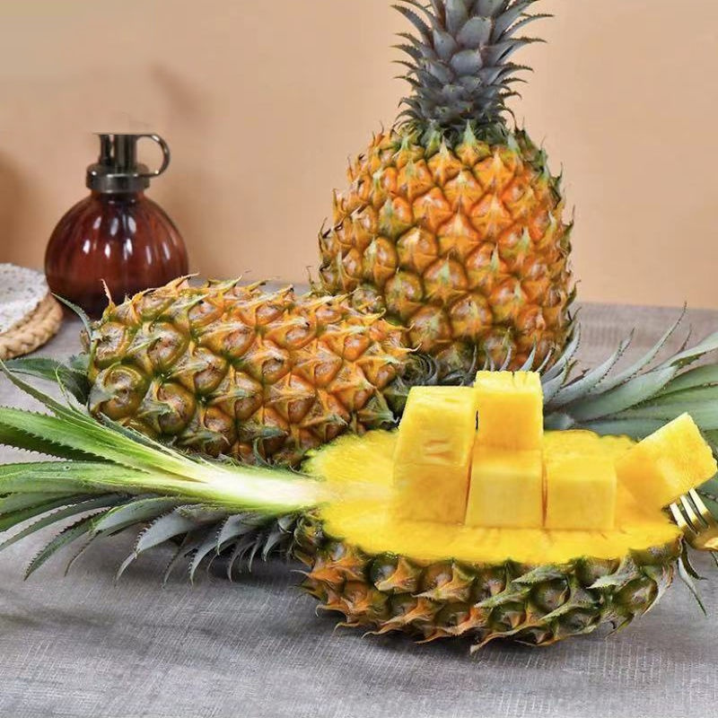 海南香水大菠萝当季新鲜大菠萝手撕菠萝水果糖心凤梨 精选 大菠萝净重