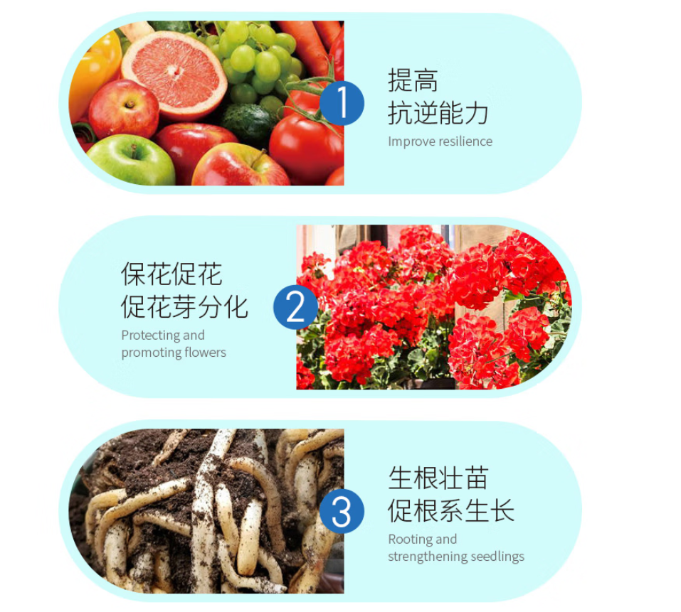 花肥谷壮根粉植物通用型生根粉发根扦插移栽花卉绿植专用壮苗水溶肥高清大图