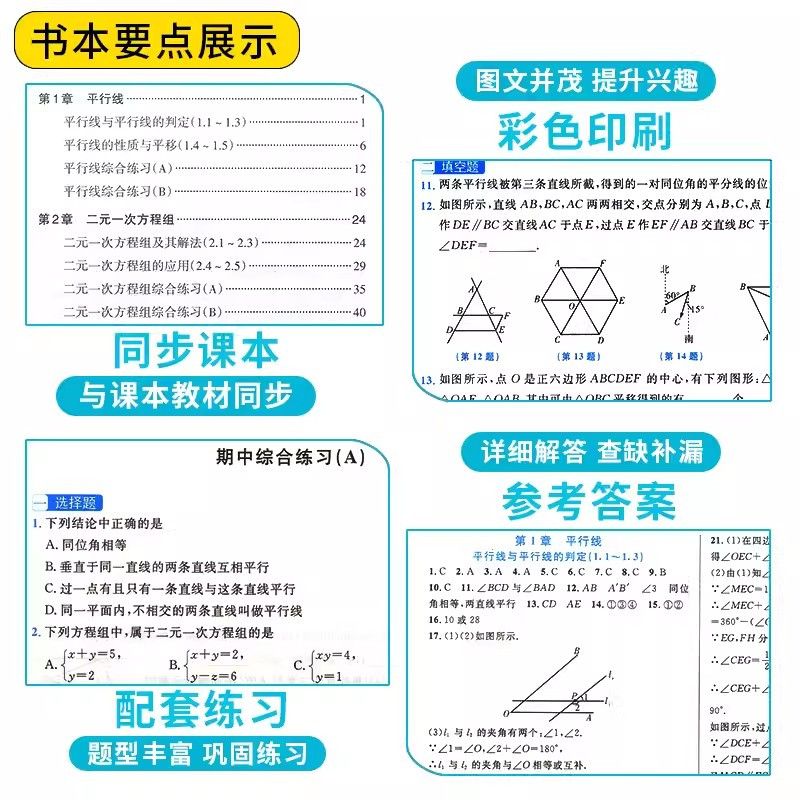 培优讲义[4本]语(人教)+英(外研)+数/科(浙教版) 七年级上 [正版]2025 走进重高培优讲义测试初中七八九年级