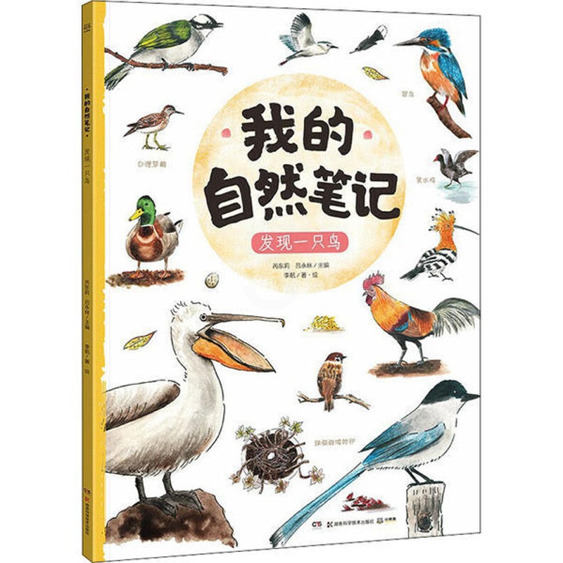 [醉染正版]我的自然笔记:发现一只鸟李航湖南科学技术9787571004743科普百科高清大图