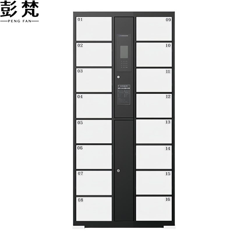 彭梵存包智能储物柜850*460*1800mm（16门）台