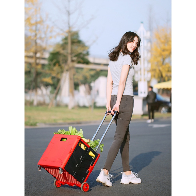 折叠购物买菜车小拉车爬楼轻便携家用手拉杆超市菜拖车
