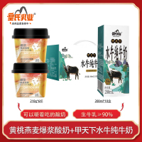 皇氏乳业饭不着黄桃爆浆燕麦酸奶210g*6杯早餐饱腹搭配甲天下水牛纯牛奶200ml*10盒孕妇儿童学生补钙牛奶组合
