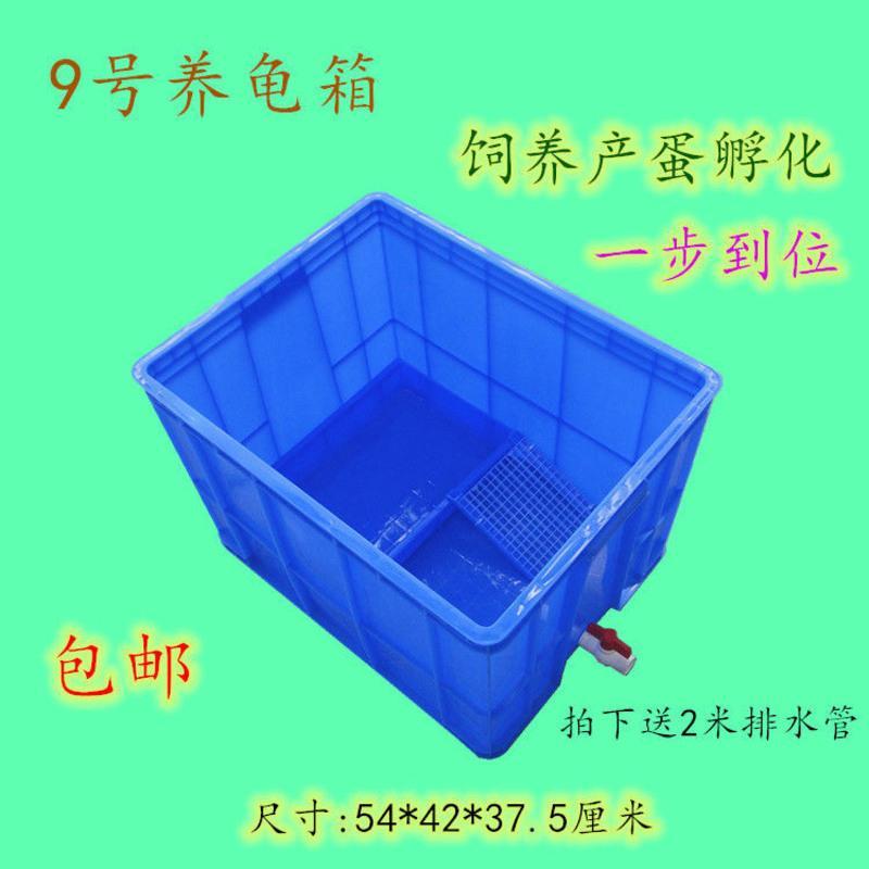 含沙盘爬梯侧排水 蓝色5#箱48*36*18厘米 长方形养龟箱养龟缸超大养龟盘水产养殖箱周转箱造景龟池水族别墅