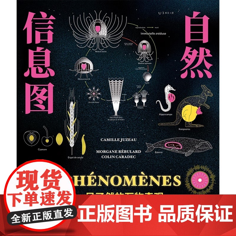 自然信息图 一目了然的万物奇观 跨越自然与人文10个领域 124个主题 生僻 冷门 迷人 揭开世界上少为人知的秘密 京联高清大图