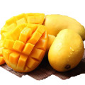 鲜贝达 海南小台农芒果5斤大果（70-90g）新鲜现摘 小台芒 应季热带水果 芒果