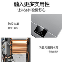 十六升智能恒温 天然气 志高燃气热水器家用天然气液化气煤气强排式恒温10L12L1316升即热