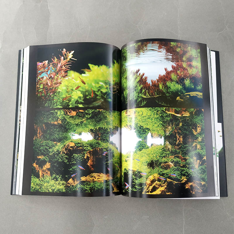 [正版]3册方寸之间雨林世界热带雨林景观设计水草造景艺术从入门到精通我的一本雨林缸造景书生态缸造景详解介绍雨林缸造景制作高清大图