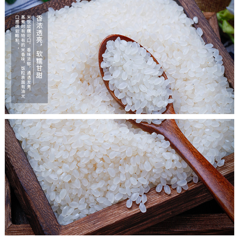 中国农垦鲜禾鲜圆粒香米 (袋装)