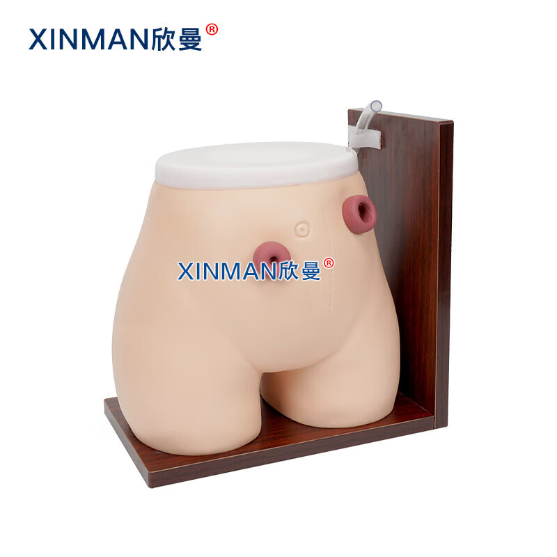 欣曼科教 高级瘘管造口术护理模型XM-H38高清大图