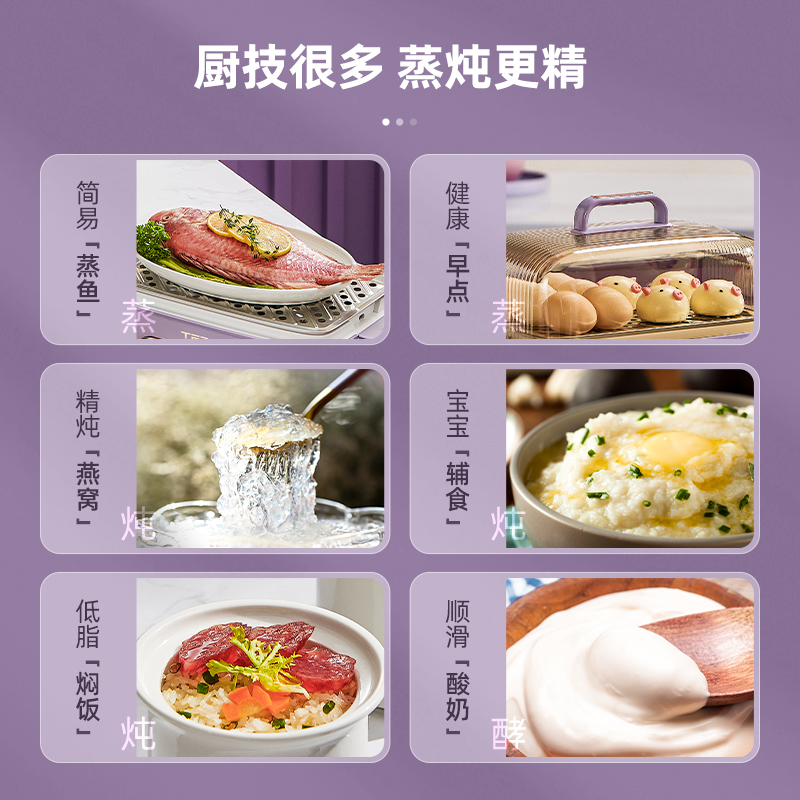 泰瑞达(TER)蒸炖锅电蒸锅多功能家用电炖锅隔水炖盅全自动预约蒸煮锅 T-ZG01 木槿紫带炖盅