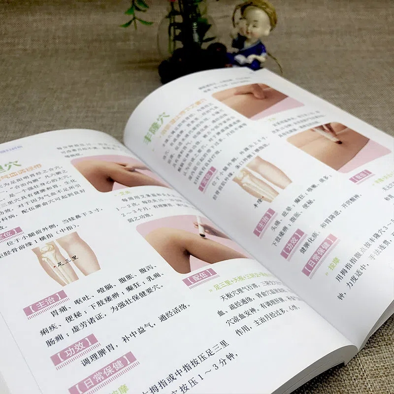 [醉染正版]全新正版 告别妇科病 饮食+理疗+中医调养防治疾病有妙招 中医养生书籍大全 中年妇女妇科病预防大全 中医自我
