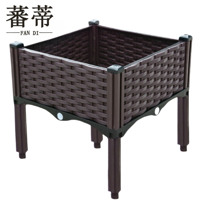 蕃蒂