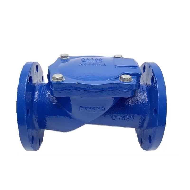 伟鹏双兴 软密封橡胶瓣止回阀 DN250 台高清大图