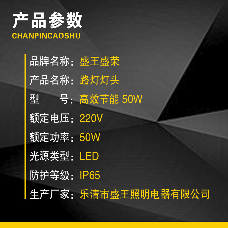 盛王盛荣 路灯灯头 高效节能高清大图