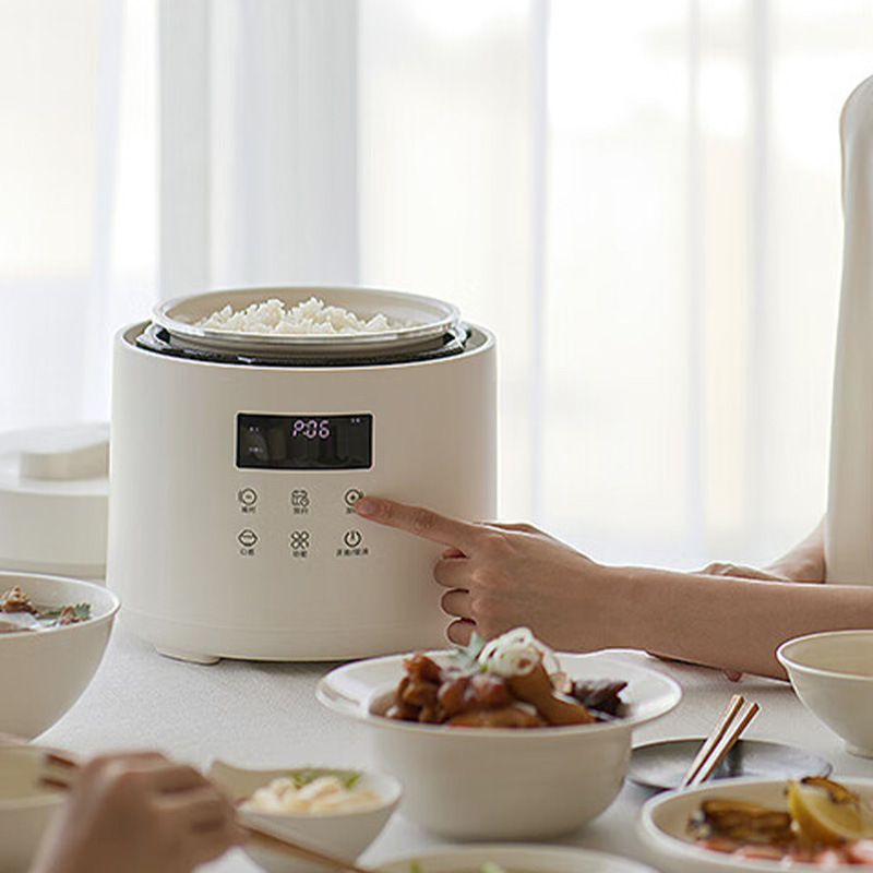 OLAYKS电压力锅2.5L智能家用多功能HY-254DA高清大图
