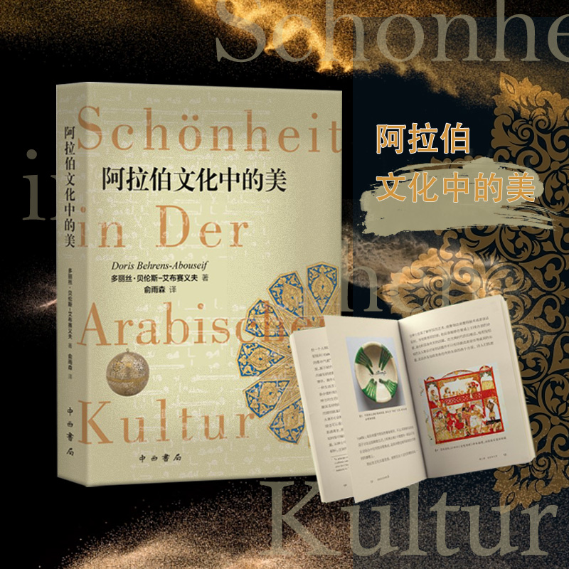 音像阿拉伯文化中的美多丽丝·贝伦斯-艾布赛义夫 著