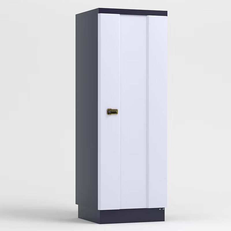 臻远 ZY-FCGA-5 防磁柜CD光盘柜磁盘柜U盘柜信息安全柜储存柜小9抽高清大图