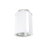 众朗星 ZL8855-A LED站台灯 50W LED光源