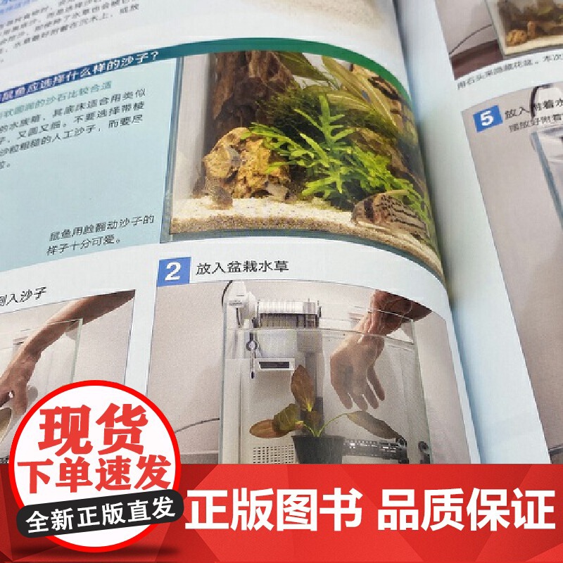 给热带鱼打造一个海底世界 水族箱造景从入门到精通水族箱鱼缸造景入门教程书时尚生活水草造景艺术栽培造景水草造景书水景制作高清大图