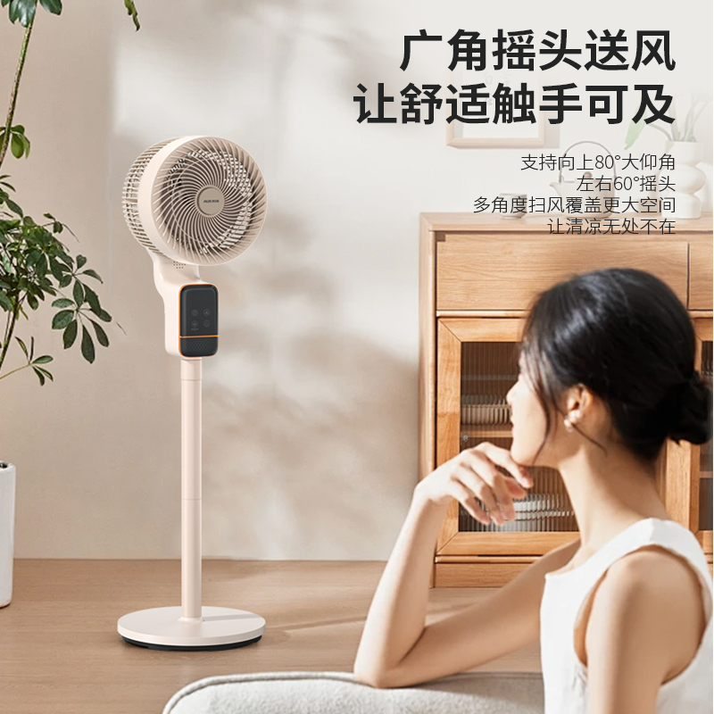 奥克斯AFX-JH-O22C空气循环扇高清大图