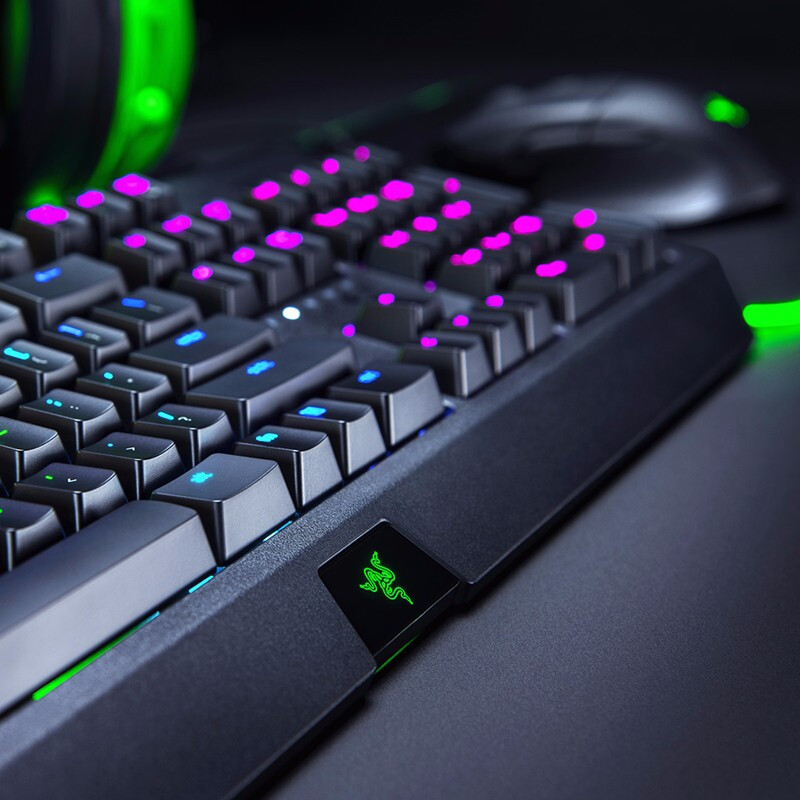 雷蛇(Razer)黑寡妇蜘蛛 机械键盘 绿轴 有线键盘 游戏键盘 电竞吃鸡键盘 幻彩版