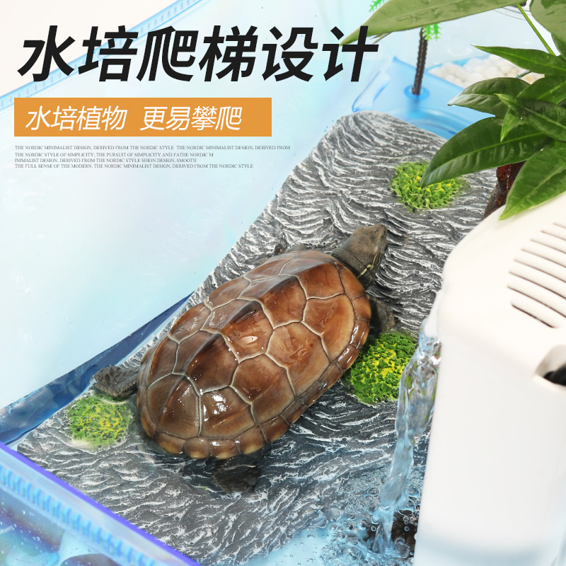 乌龟缸水陆缸龟缸家用养龟的专用缸养乌龟的盒子小型巴西龟饲养盒高清大图