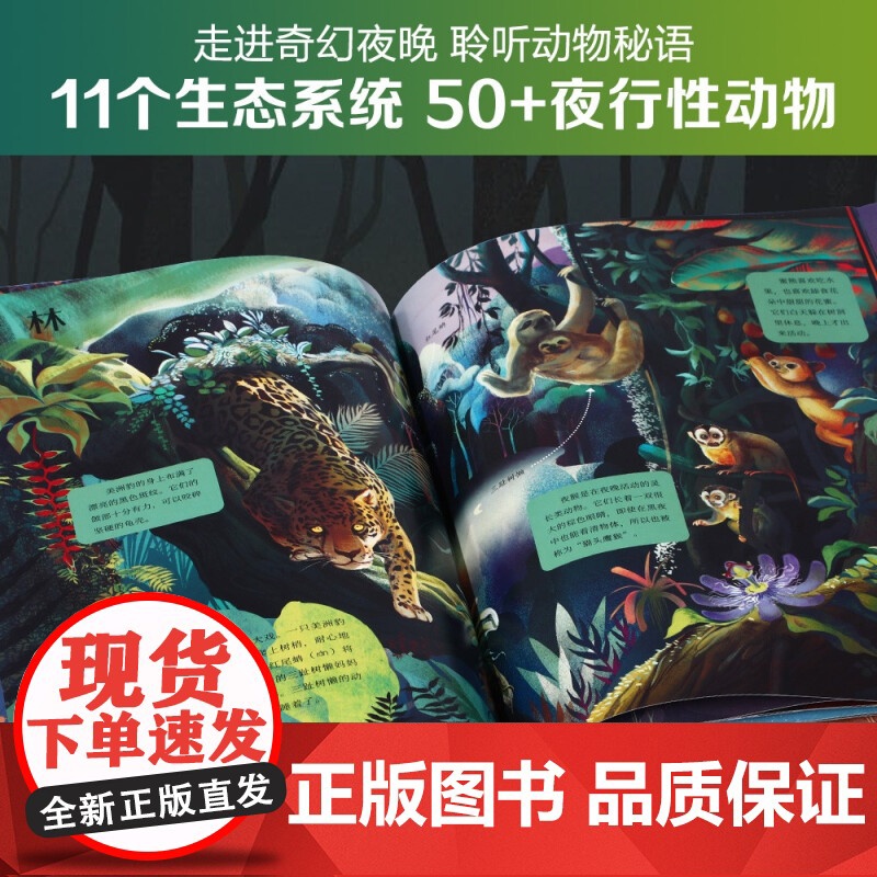 奇妙环球之旅 2册 6岁+ 凯蒂·弗林特 著 儿童绘本高清大图