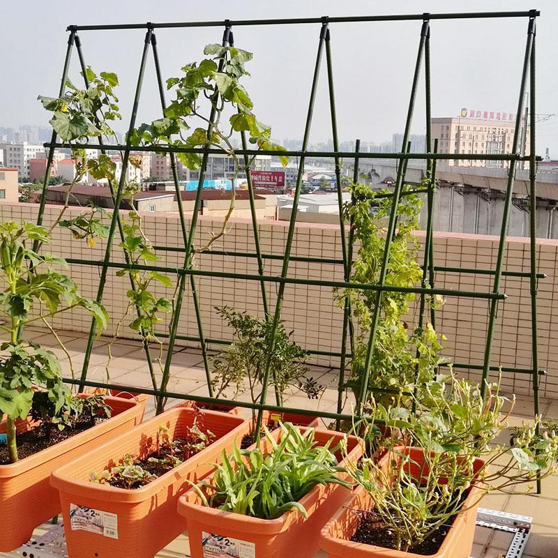 符象电子电工工具内塞管花架管植物花盆支撑杆园艺符象架花固定支柱 爬藤支架包塑钢管铁管月季直径8mm长度150cm 10支 价格图片品牌报价 苏宁易购乾鼎园艺专营店