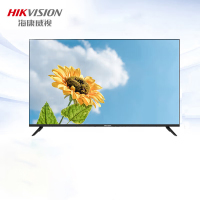 海康威视 LCD显示单元 DS-D2055NL-B/Y 1台