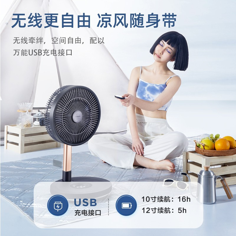 艾美特落地循环扇多功能低音伸缩折叠电风扇家用户外露营充电台式梦幻蓝梦幻蓝12寸[Type-C快充]7片羽翼 8档劲风