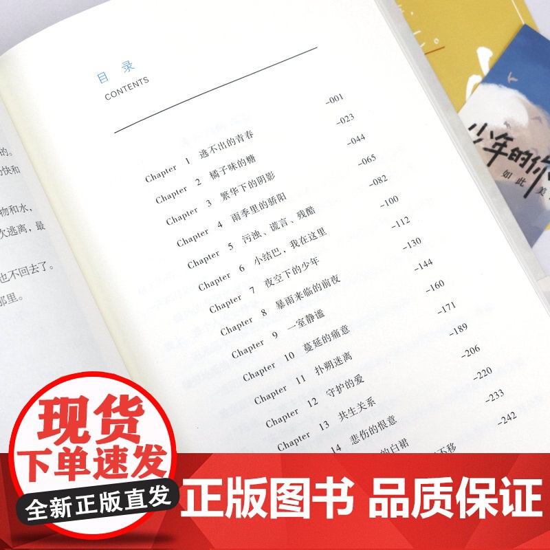 少年的你 如此美丽 玖月晞著 易烊千玺&amp;周冬雨主演电影《少年的你》你保护世界我保护你 原著小说 书籍高清大图