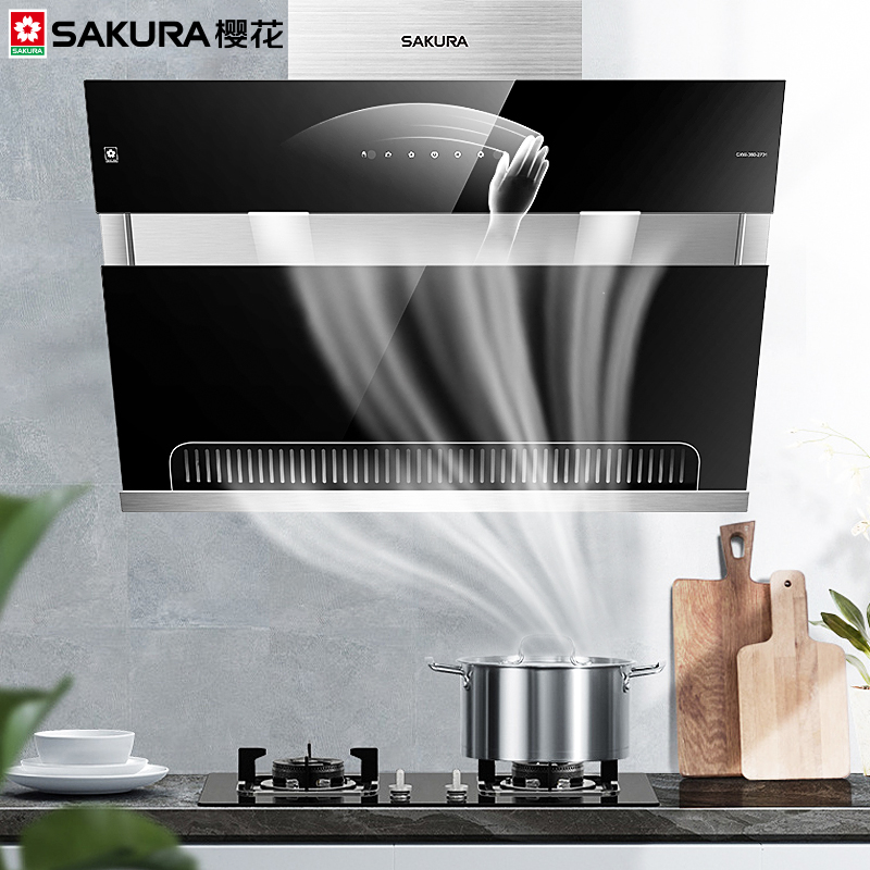 2701樱花燃气灶抽油烟机套餐家用煤然气灶具侧吸式烟灶消套装 2701++BGZ01烟机灶具(4.2kw不锈钢灶) 天然