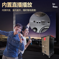 爱浪(AvliGHT) DX20-10pro户外广场舞音响直播K歌拉杆移动便携一体式大功率音箱抖音快手网红 10吋