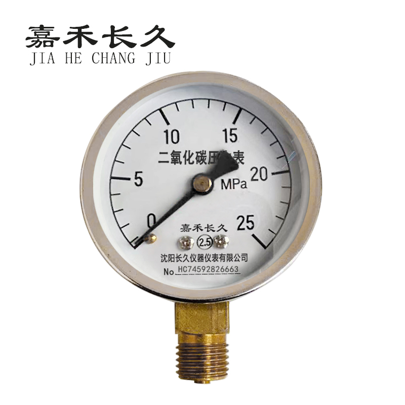 嘉禾长久 压力表二氧化碳表 Y60 块
