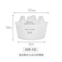 郁金香种球专用水培花盆风信子洋水仙种子三孔五孔懒人花盆器皿 郁金香专用5孔盆白色