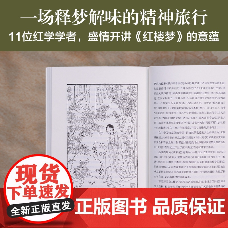 大家美育课:《红楼梦》的意蕴 11位知名学者大师的11堂课 讲透红楼梦方方面面 收录30余幅精美插画 中国文化与艺术经典高清大图
