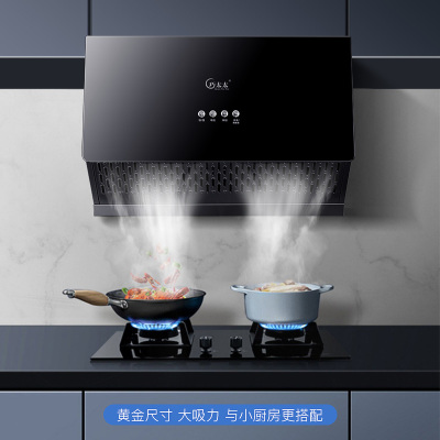 巧太太(qiaotaitai) CXW-210 中式油烟分离顶吸式大吸力抽油烟机家用 厨房脱排小型吸油烟机壁挂自动清洗