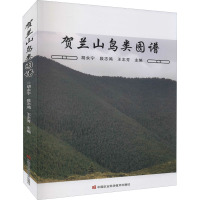 贺兰山鸟类图谱 胡永宁,段志鸿,王志芳 编 专业科技 文轩网