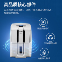 意大利德龙(DeLonghi)除湿机 DDSE20 家用办公室20L/天大除湿量 空气净化抽湿机干燥机吸湿器