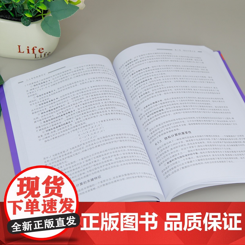 [正版新书]人工智能数据安全 任奎、秦湛、王志波、巴钟杰、李一鸣 清华大学出版社 人工智能,数据安全,大数据,网络空高清大图