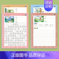 一年级[看图写话作文纸+练习纸]全套4本 [正版]看图写话一年级二年级练字帖小学生字帖每日一练上册下册专项训练钢笔临摹练