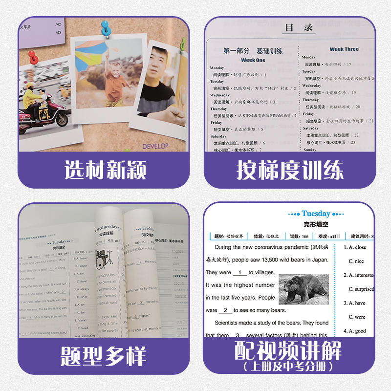 9年级+中考(全一册)语法分层+完形填空+听力[第9版 3本] 初中通用 [正版]2024快捷英语周周练初中七八九年级中
