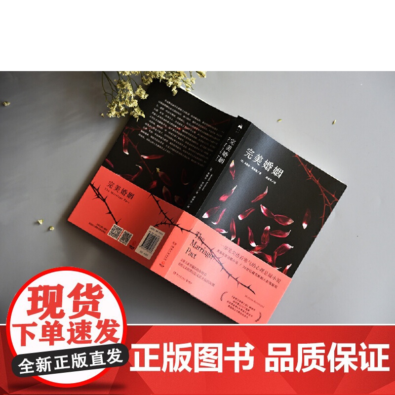 [央视网]完美婚姻 美 米歇尔 里奇曼Michelle Richmond著 一部笔尖透着寒气的心理悬疑小说 湖南文艺出版高清大图